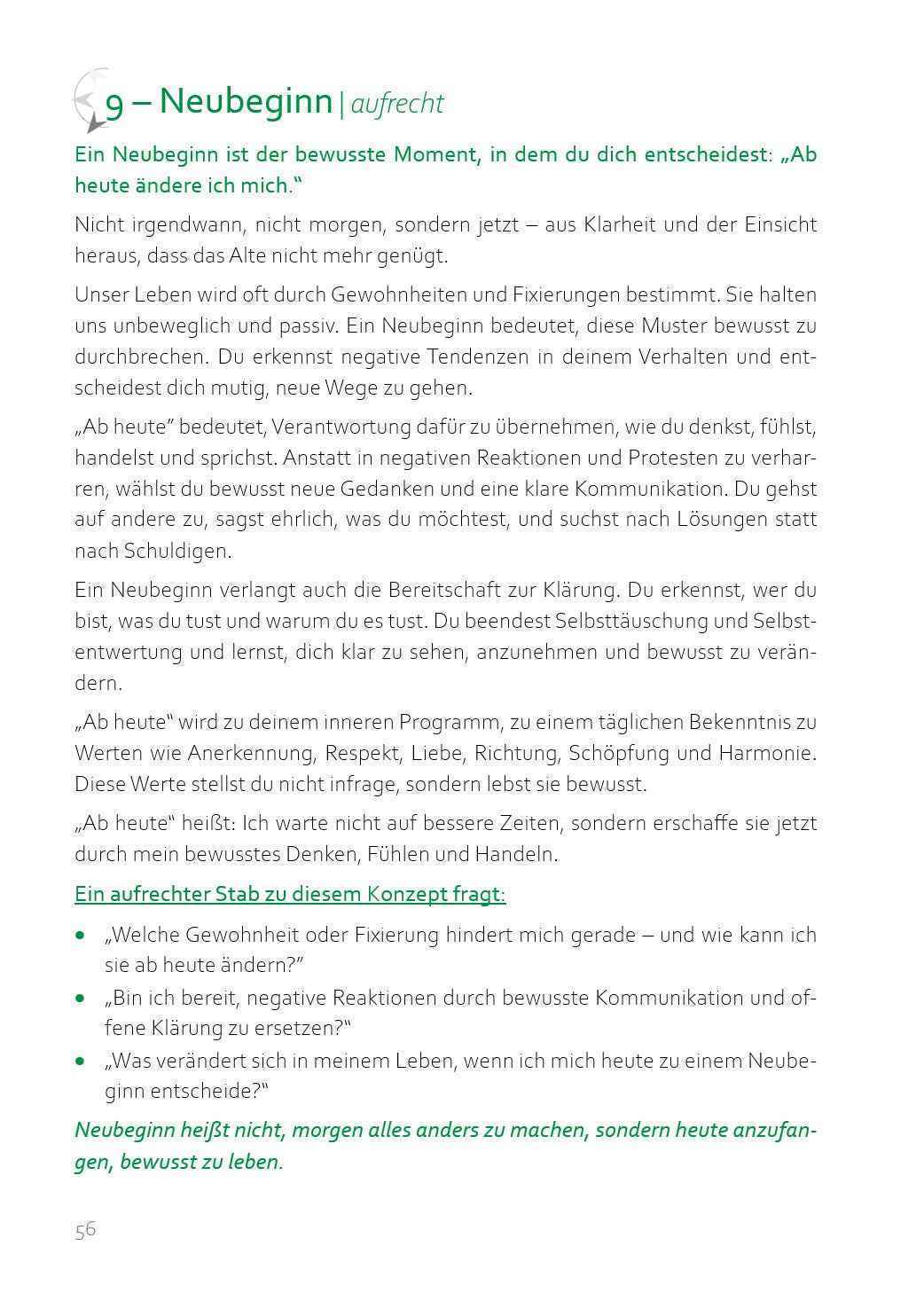 "Das Ritual der Stäbe" Set in Buche (Kopie)